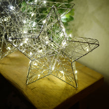 Load image into Gallery viewer, LED Free Standing Silver Star - 2 sizes 30cm or 20cm | LED Decoration loop
