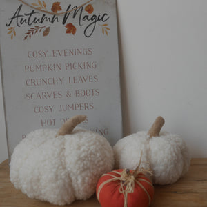 Cream Boucle Pumpkins 2 sizes 15 cm & 11cm | Off White Pumpkin | Autumn Decor | Autumn Pumpkin| Halloween Decor | Sherpa Pumpkin