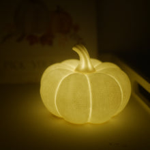 Load image into Gallery viewer, LED Textured White Pumpkins Available in 2 sizes 12 cm or 9cm | Ceramic Pumpkins| Light Up Pumpkins

