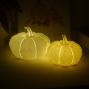 LED Textured White Pumpkins Available in 2 sizes 12 cm or 9cm | Ceramic Pumpkins| Light Up Pumpkins
