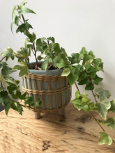 Load image into Gallery viewer, Leggy Woven Planter
