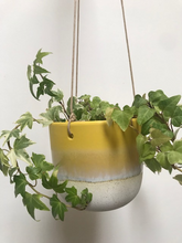 Load image into Gallery viewer, Yellow Mojave Glaze Hanging Planter
