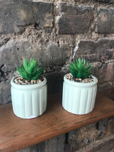 Load image into Gallery viewer, Embossed Potted Succulent 12cm
