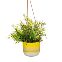 Load image into Gallery viewer, Yellow Mojave Glaze Hanging Planter
