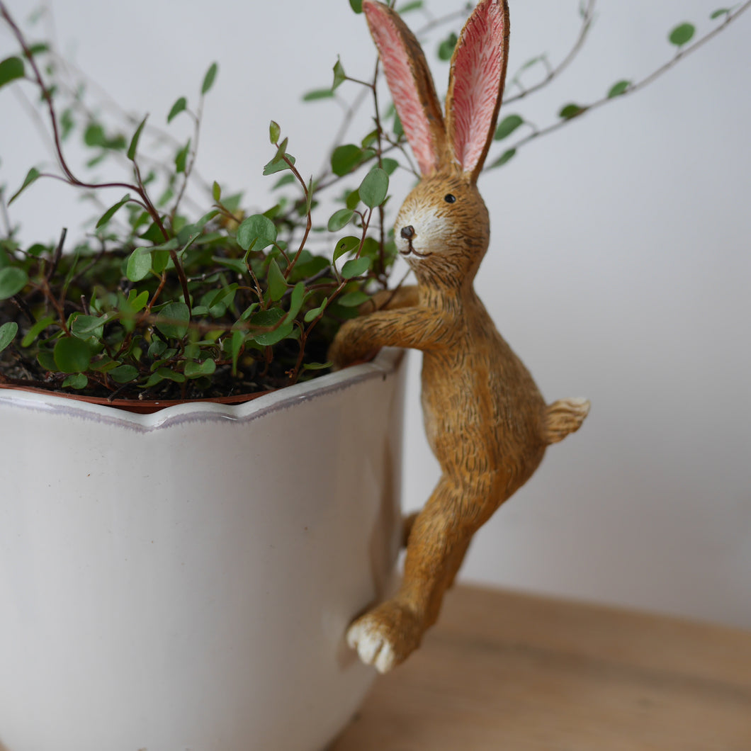 Pot Hanging Rabbit 14cm, Pot Decoration, Plant Lover Gift