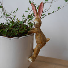 Load image into Gallery viewer, Pot Hanging Rabbit 14cm, Pot Decoration, Plant Lover Gift
