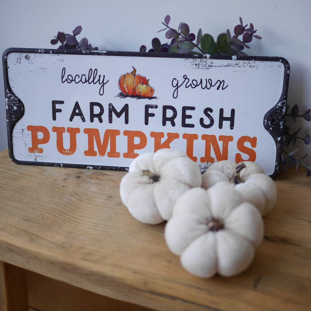 Farm Fresh Pumpkins Metal Sign | Autumn Decor | Halloween Decor