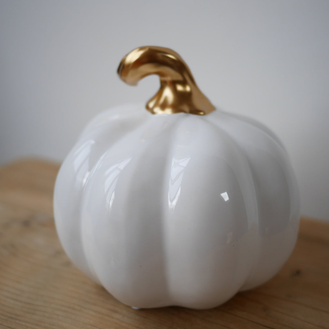 Plush Beautiful Ceramic Pumpkin Ornaments in Crisp White 2 sizes