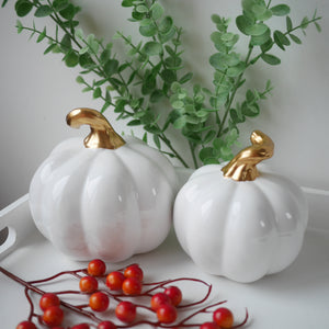 Plush Beautiful Ceramic Pumpkin Ornaments in Crisp White 2 sizes