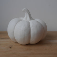 Load image into Gallery viewer, LED Textured White Pumpkins Available in 2 sizes 12 cm or 9cm | Ceramic Pumpkins| Light Up Pumpkins
