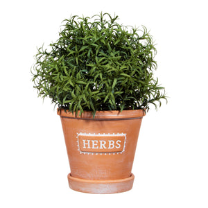 Herbs Terracotta Planter with Saucer, Kitchen Plant Pot, Herb Plant Pot, Plant Lover Gift
